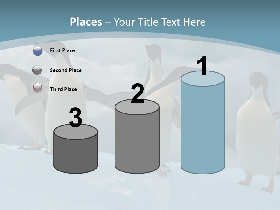 A Group Of Penguins Standing In The Snow PowerPoint Template