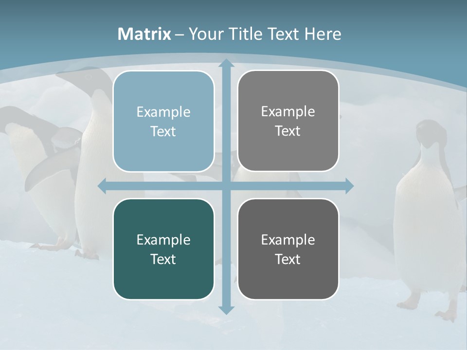 A Group Of Penguins Standing In The Snow PowerPoint Template