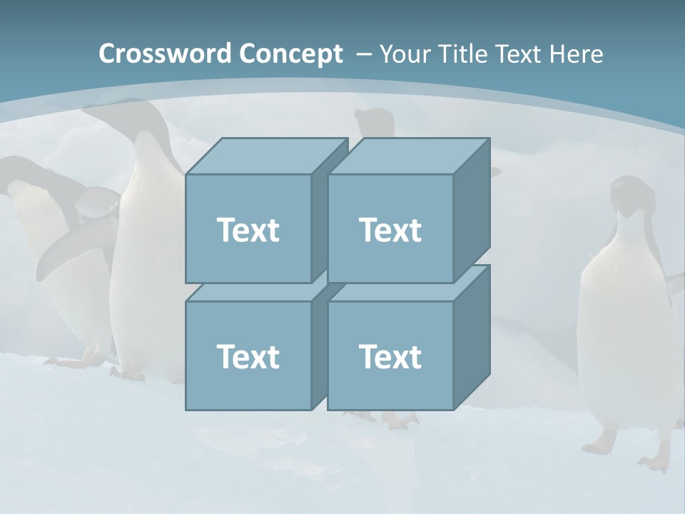 A Group Of Penguins Standing In The Snow PowerPoint Template