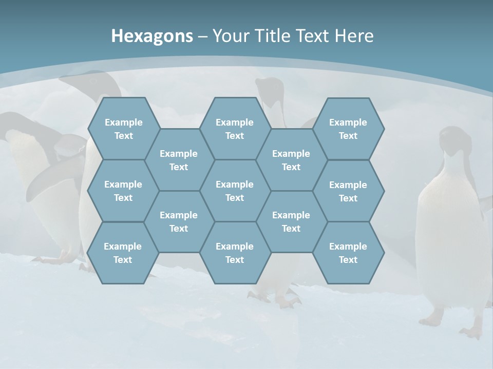 A Group Of Penguins Standing In The Snow PowerPoint Template