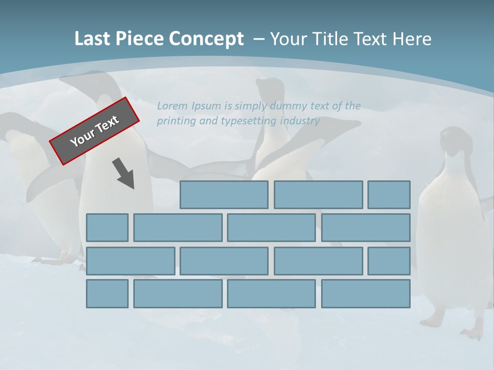 A Group Of Penguins Standing In The Snow PowerPoint Template