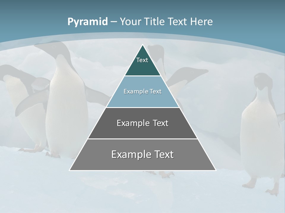 A Group Of Penguins Standing In The Snow PowerPoint Template