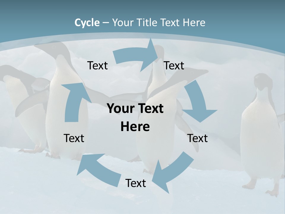 A Group Of Penguins Standing In The Snow PowerPoint Template