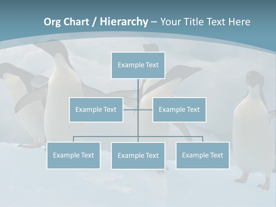 A Group Of Penguins Standing In The Snow PowerPoint Template