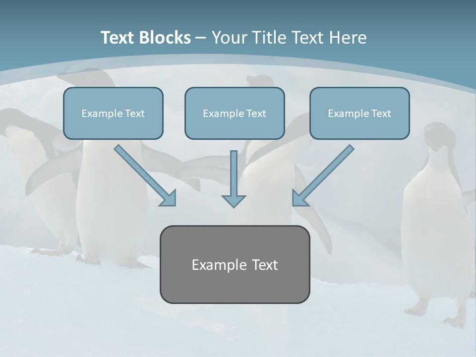 A Group Of Penguins Standing In The Snow PowerPoint Template