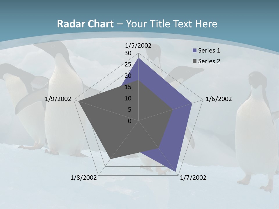 A Group Of Penguins Standing In The Snow PowerPoint Template