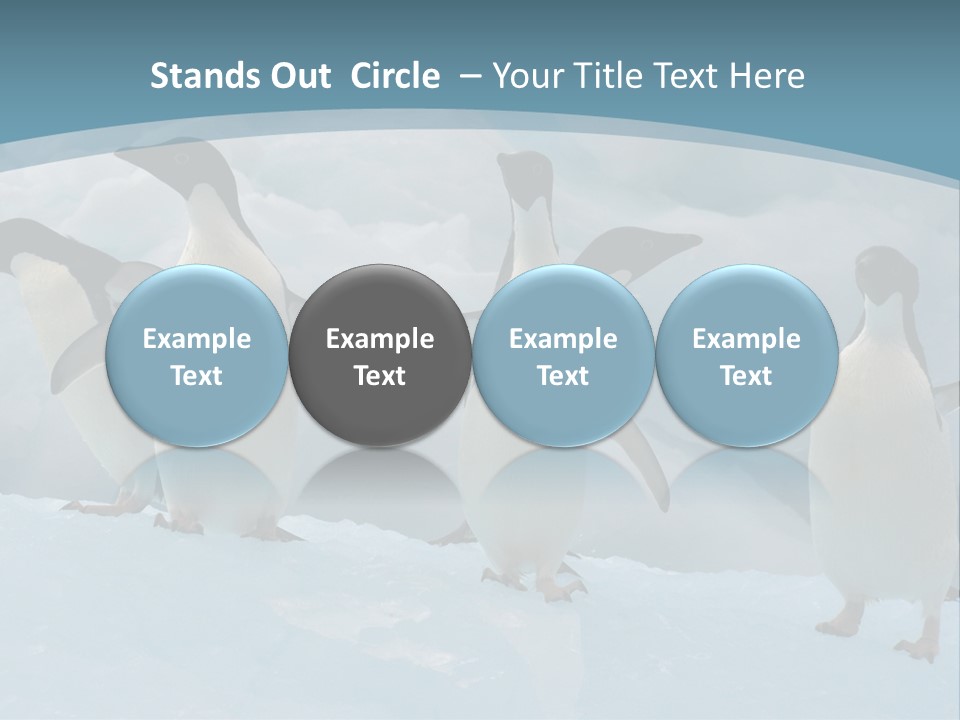 A Group Of Penguins Standing In The Snow PowerPoint Template