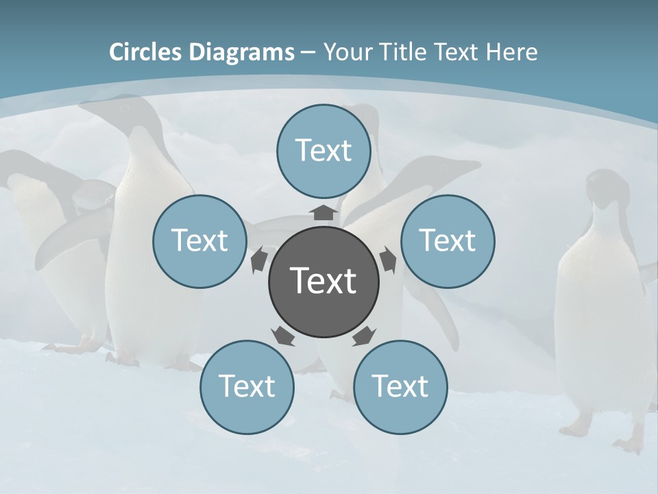 A Group Of Penguins Standing In The Snow PowerPoint Template