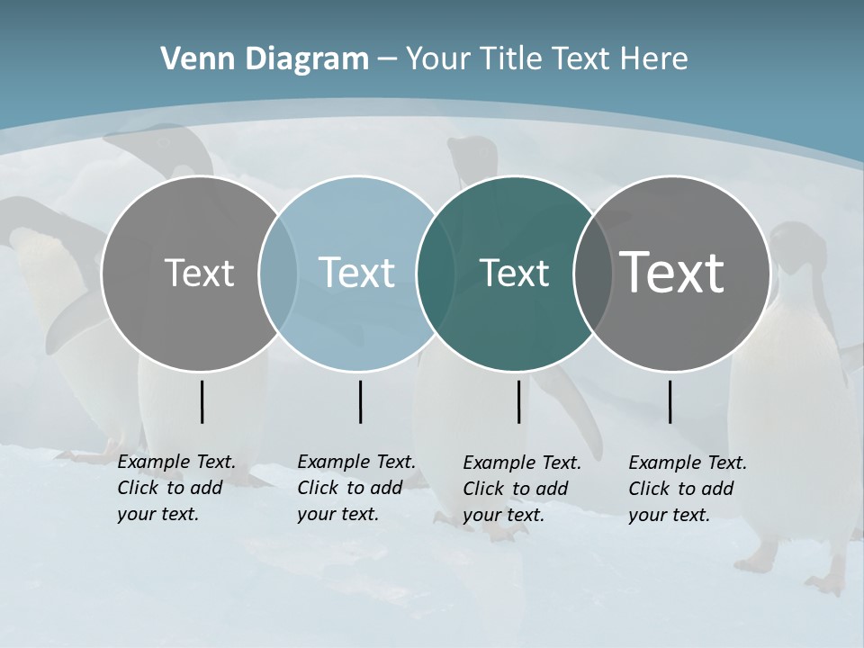 A Group Of Penguins Standing In The Snow PowerPoint Template
