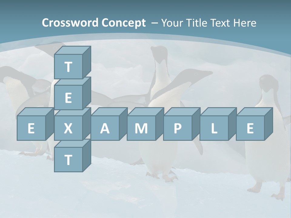 A Group Of Penguins Standing In The Snow PowerPoint Template