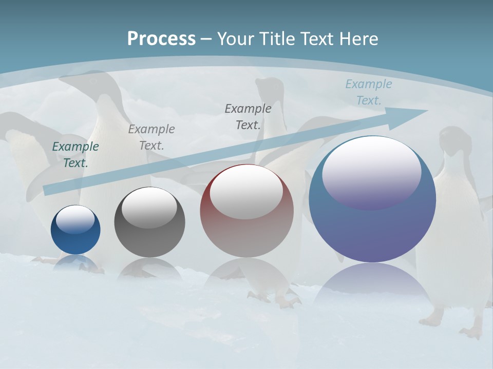 A Group Of Penguins Standing In The Snow PowerPoint Template
