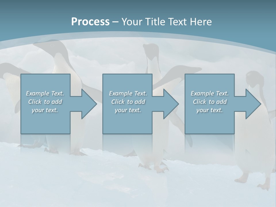 A Group Of Penguins Standing In The Snow PowerPoint Template