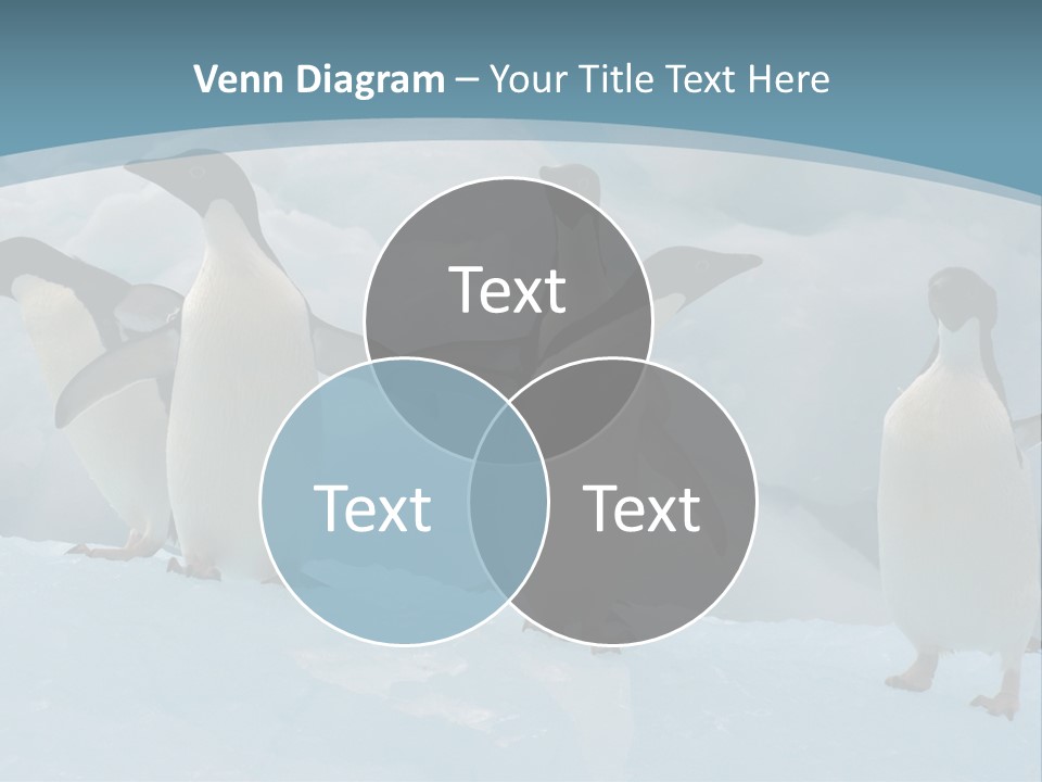 A Group Of Penguins Standing In The Snow PowerPoint Template