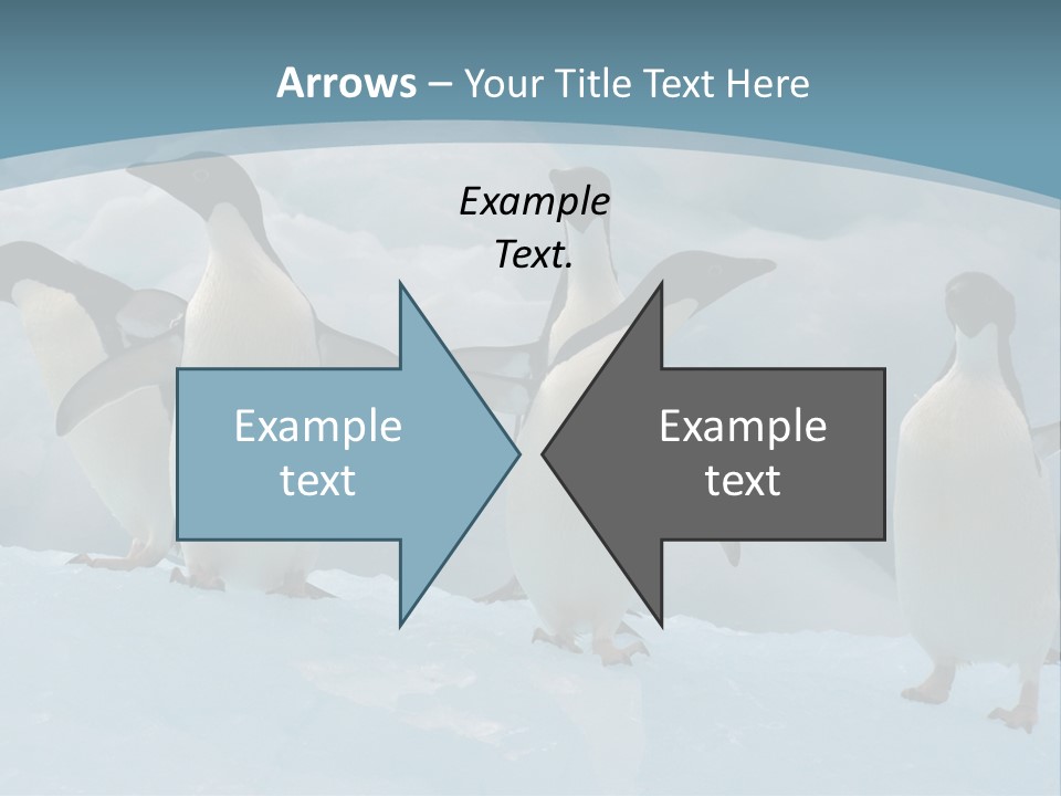 A Group Of Penguins Standing In The Snow PowerPoint Template