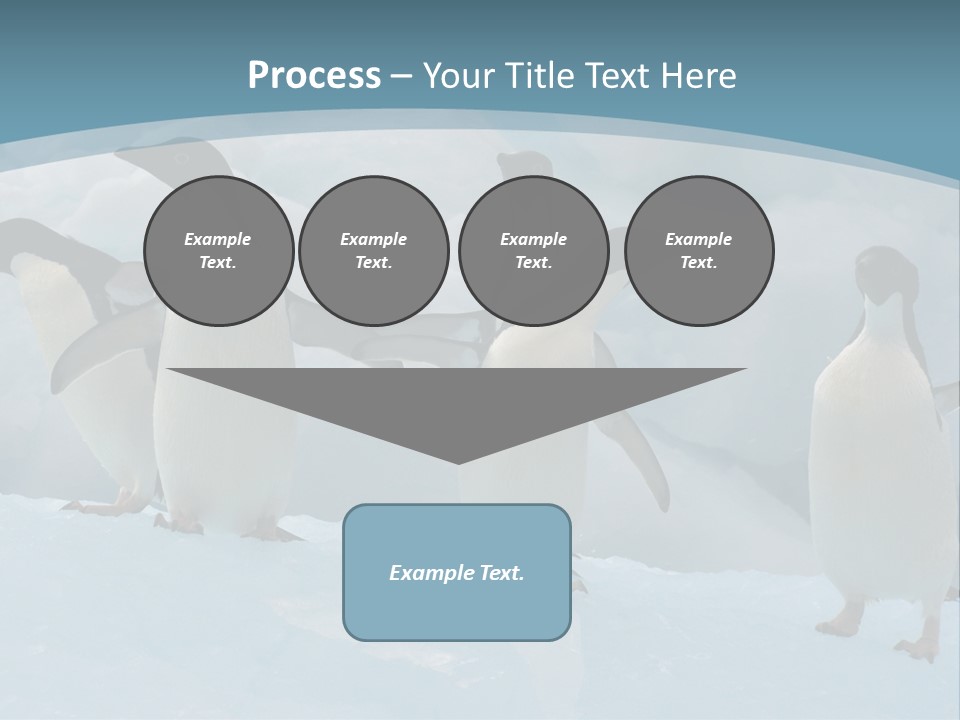 A Group Of Penguins Standing In The Snow PowerPoint Template