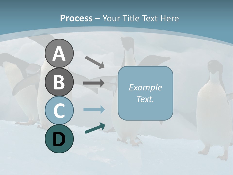 A Group Of Penguins Standing In The Snow PowerPoint Template