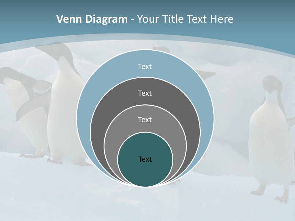 A Group Of Penguins Standing In The Snow PowerPoint Template