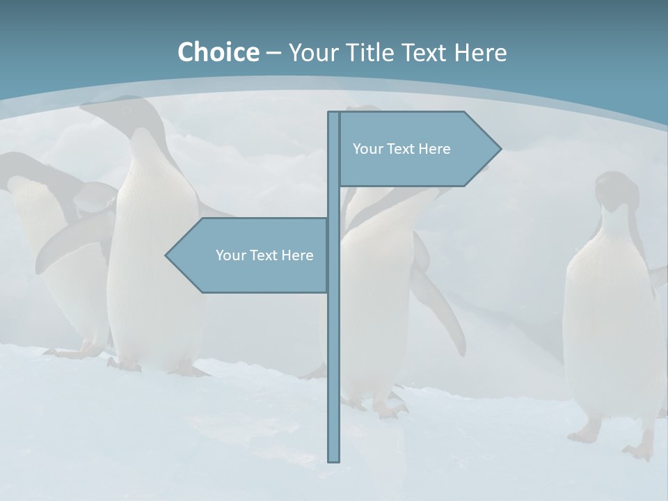 A Group Of Penguins Standing In The Snow PowerPoint Template