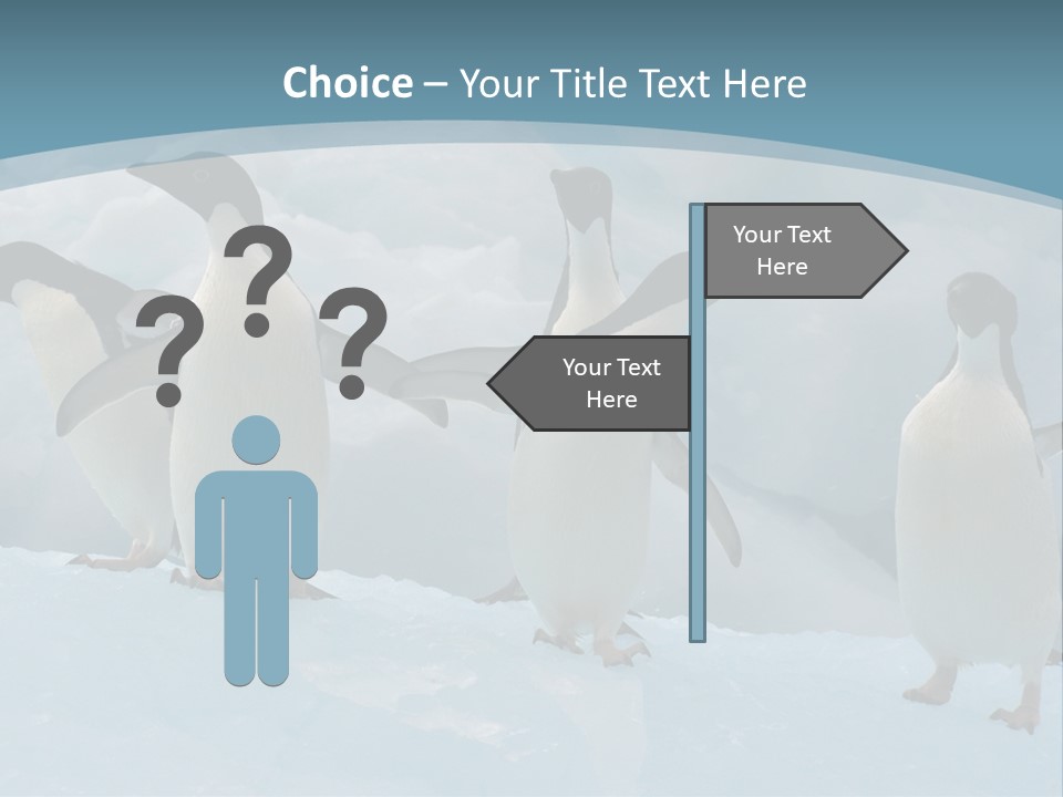 A Group Of Penguins Standing In The Snow PowerPoint Template