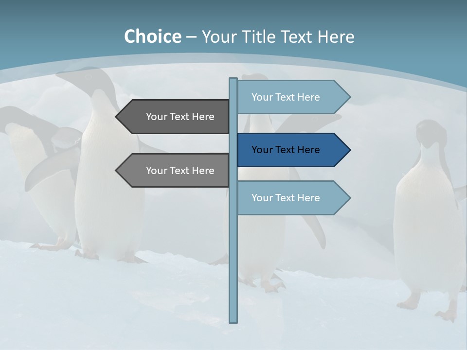 A Group Of Penguins Standing In The Snow PowerPoint Template