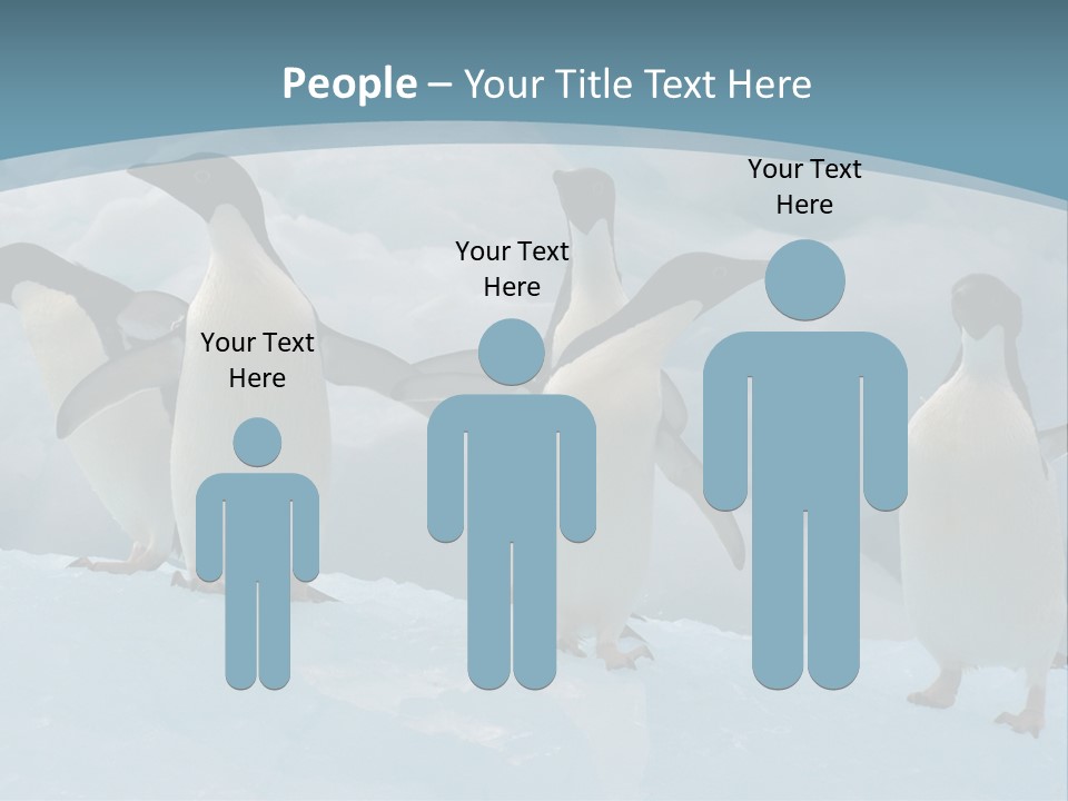 A Group Of Penguins Standing In The Snow PowerPoint Template