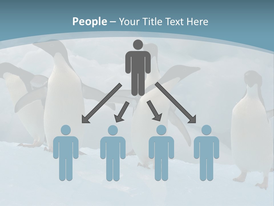 A Group Of Penguins Standing In The Snow PowerPoint Template