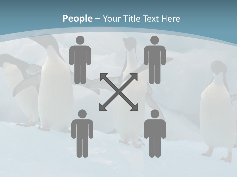A Group Of Penguins Standing In The Snow PowerPoint Template