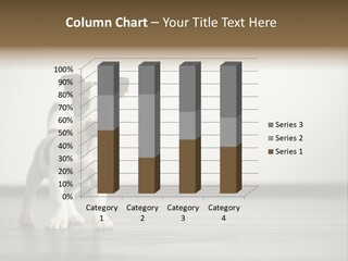 A Small White And Brown Dog Standing On A Hard Wood Floor PowerPoint Template