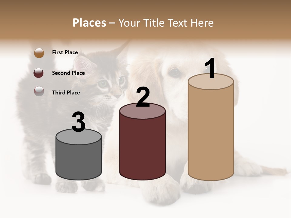 Market Glass Summer PowerPoint Template