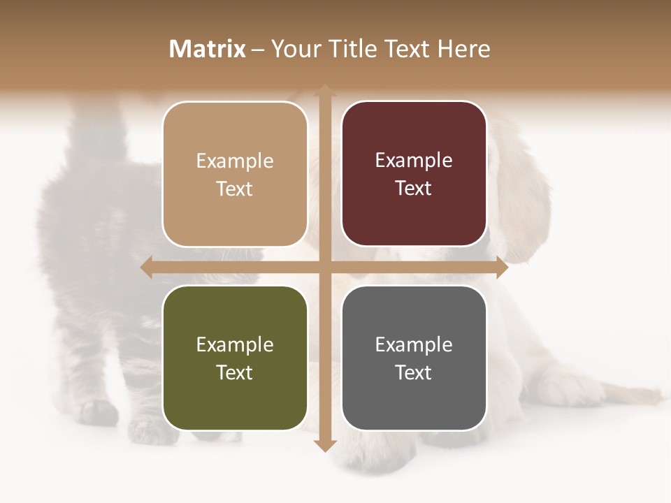 Market Glass Summer PowerPoint Template