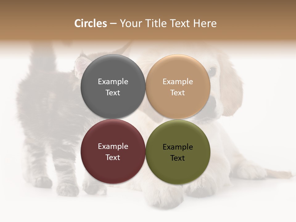 Market Glass Summer PowerPoint Template