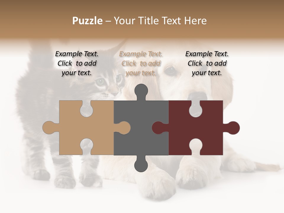 Market Glass Summer PowerPoint Template