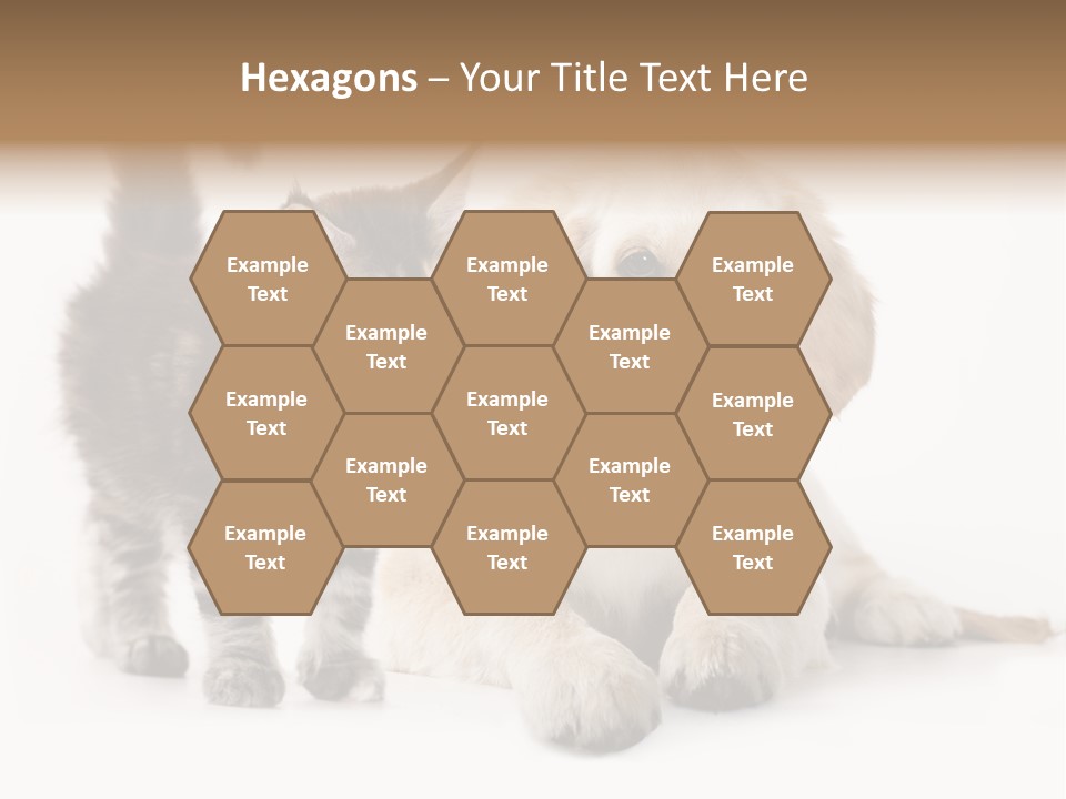 Market Glass Summer PowerPoint Template