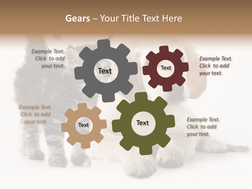 Market Glass Summer PowerPoint Template