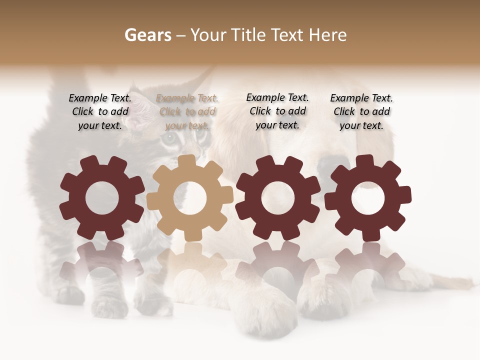 Market Glass Summer PowerPoint Template