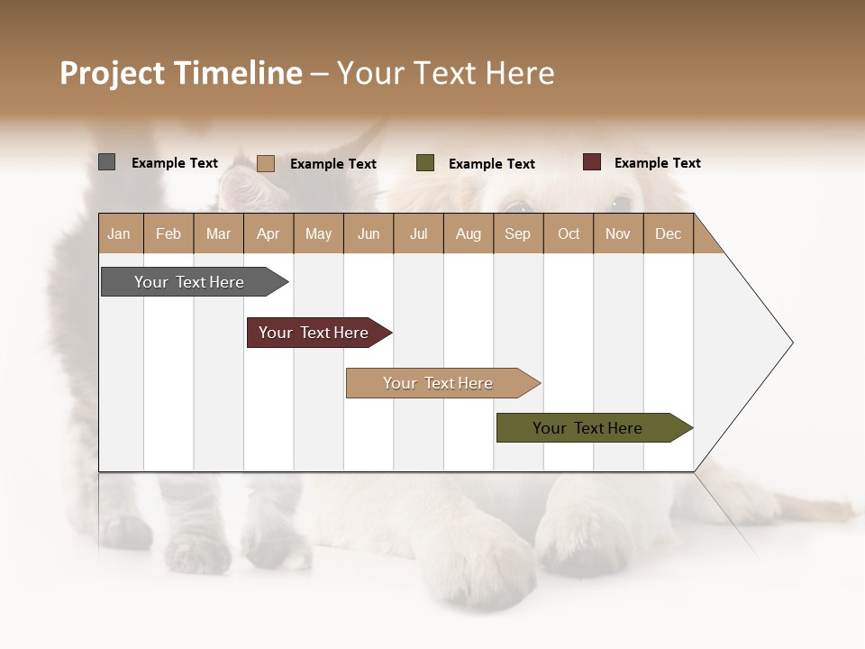 Market Glass Summer PowerPoint Template