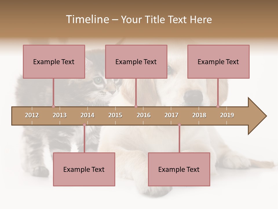 Market Glass Summer PowerPoint Template