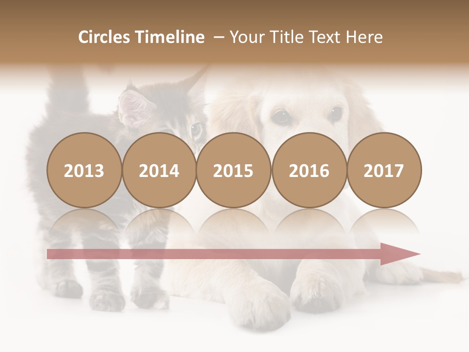 Market Glass Summer PowerPoint Template