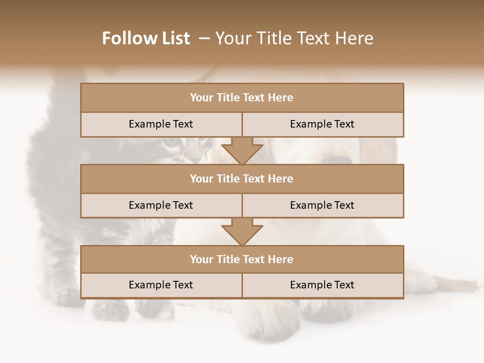 Market Glass Summer PowerPoint Template