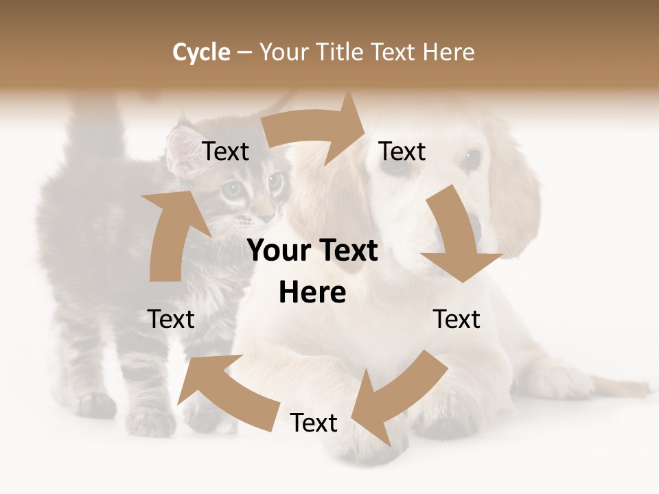 Market Glass Summer PowerPoint Template