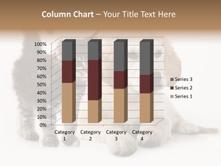 Market Glass Summer PowerPoint Template