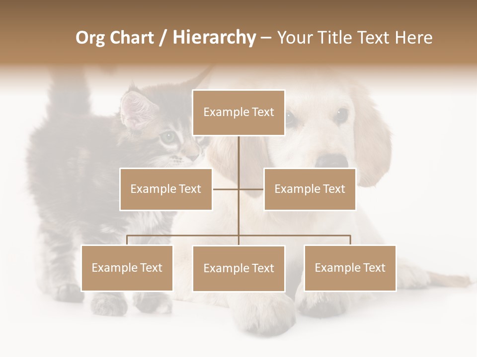 Market Glass Summer PowerPoint Template