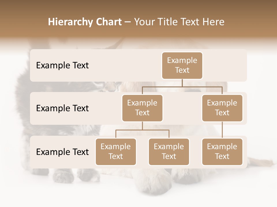 Market Glass Summer PowerPoint Template