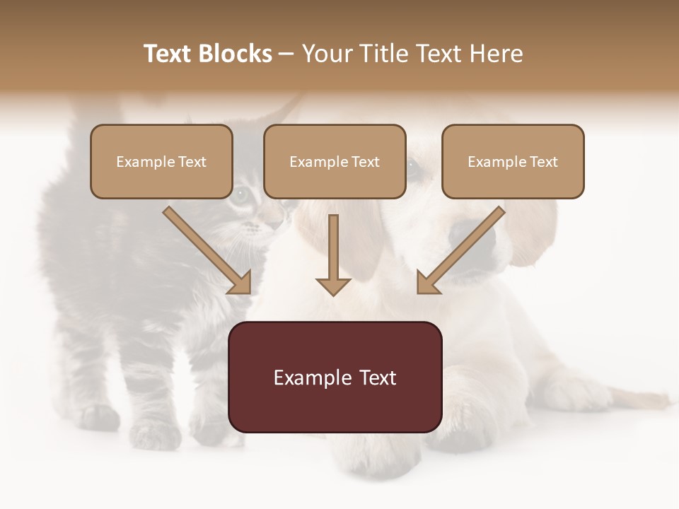 Market Glass Summer PowerPoint Template