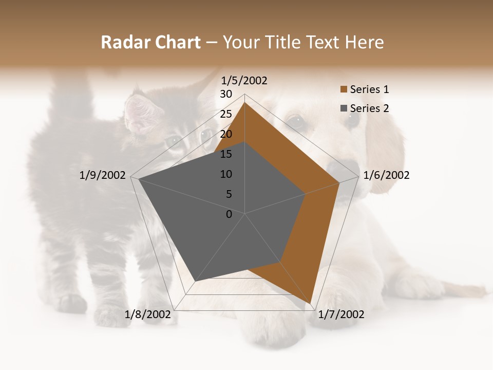 Market Glass Summer PowerPoint Template