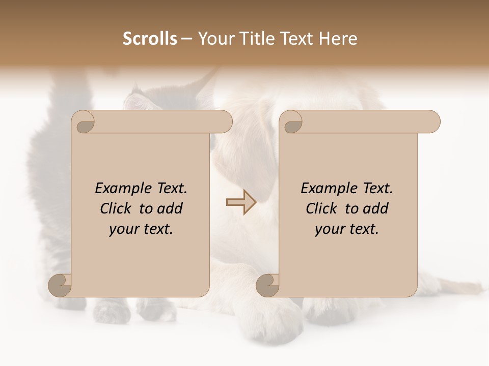 Market Glass Summer PowerPoint Template