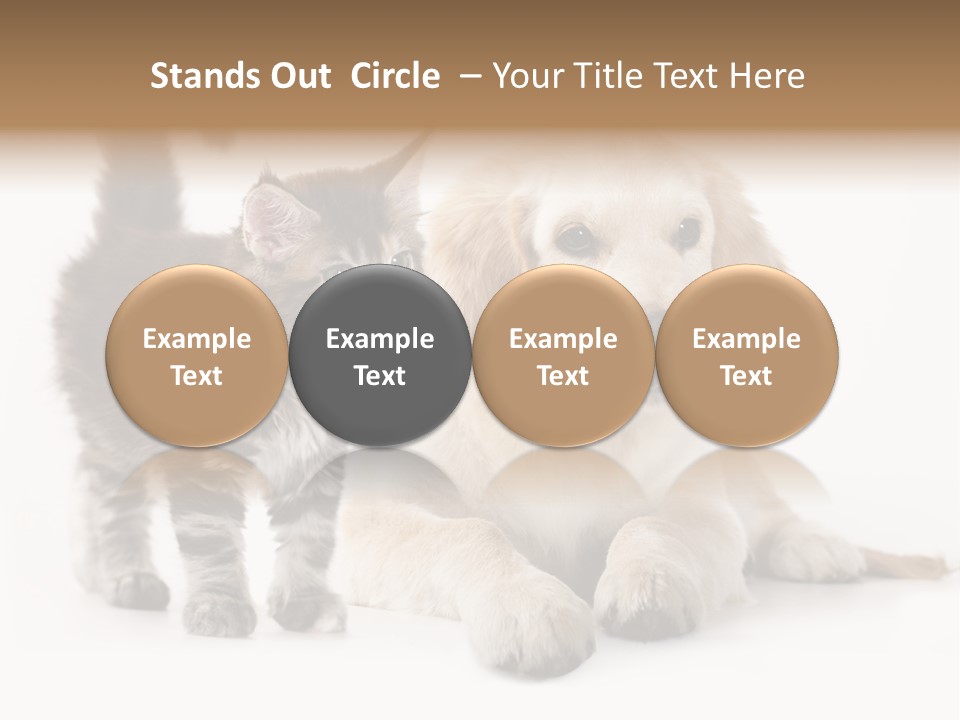 Market Glass Summer PowerPoint Template