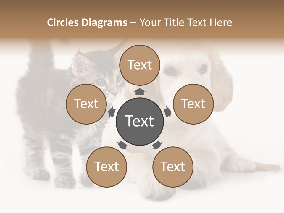 Market Glass Summer PowerPoint Template