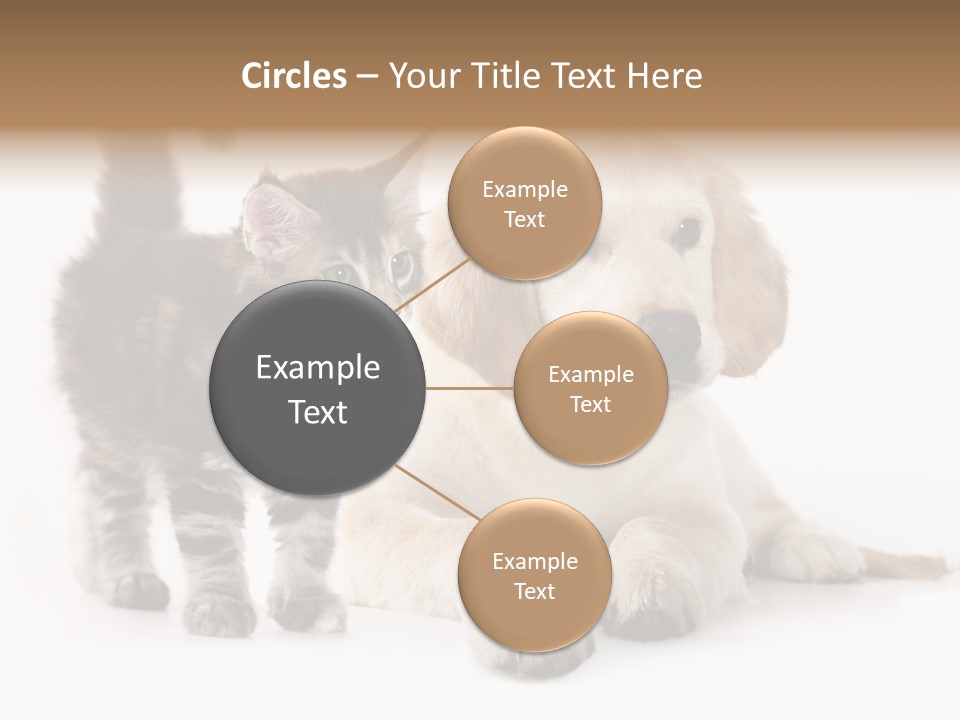 Market Glass Summer PowerPoint Template