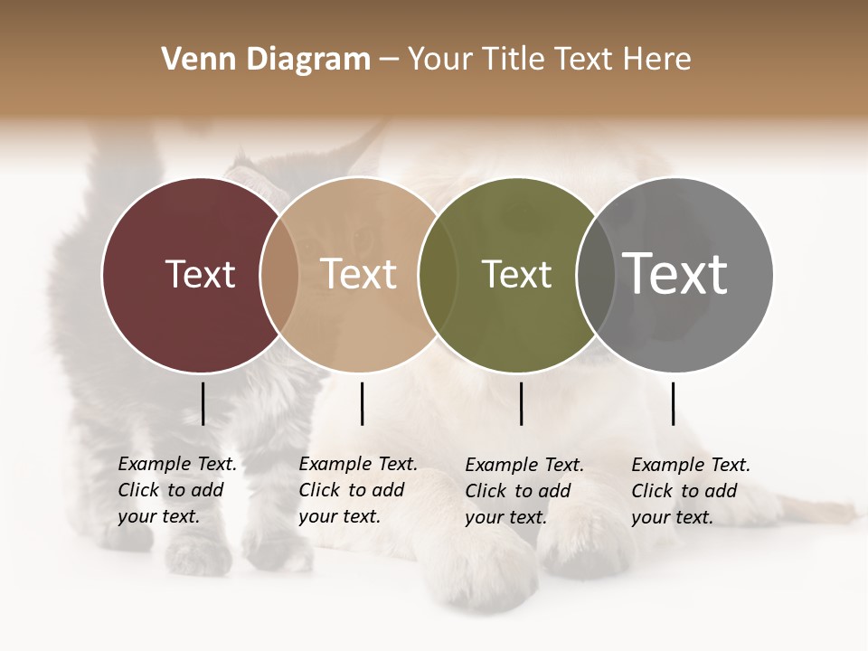 Market Glass Summer PowerPoint Template